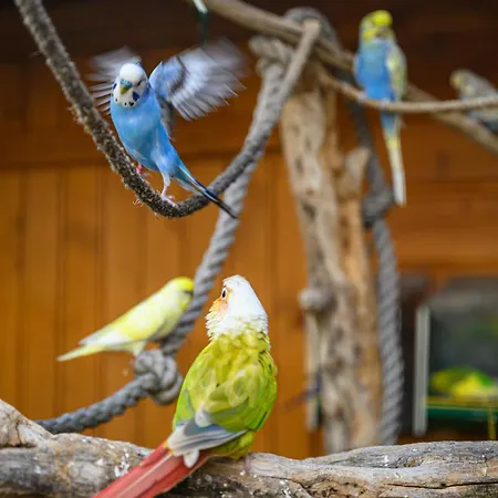 La Font Molinae - Piscine Chauffee - Jacuzzi Villa